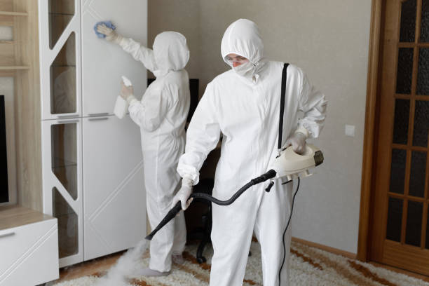 24/7 Emergency Odor Removal experts in Blue Jay, CA